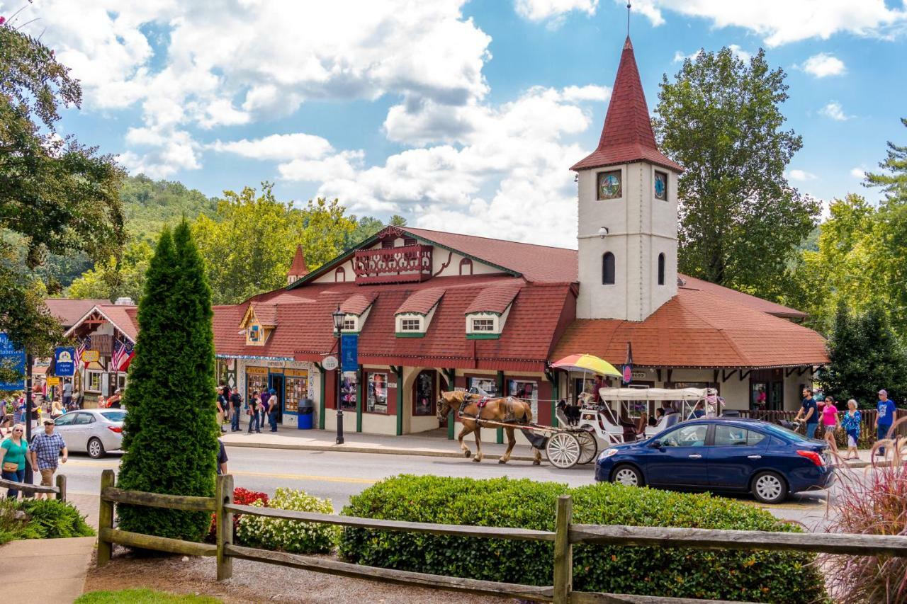 Sautee Nacoochee Skycrestヴィラ エクステリア 写真