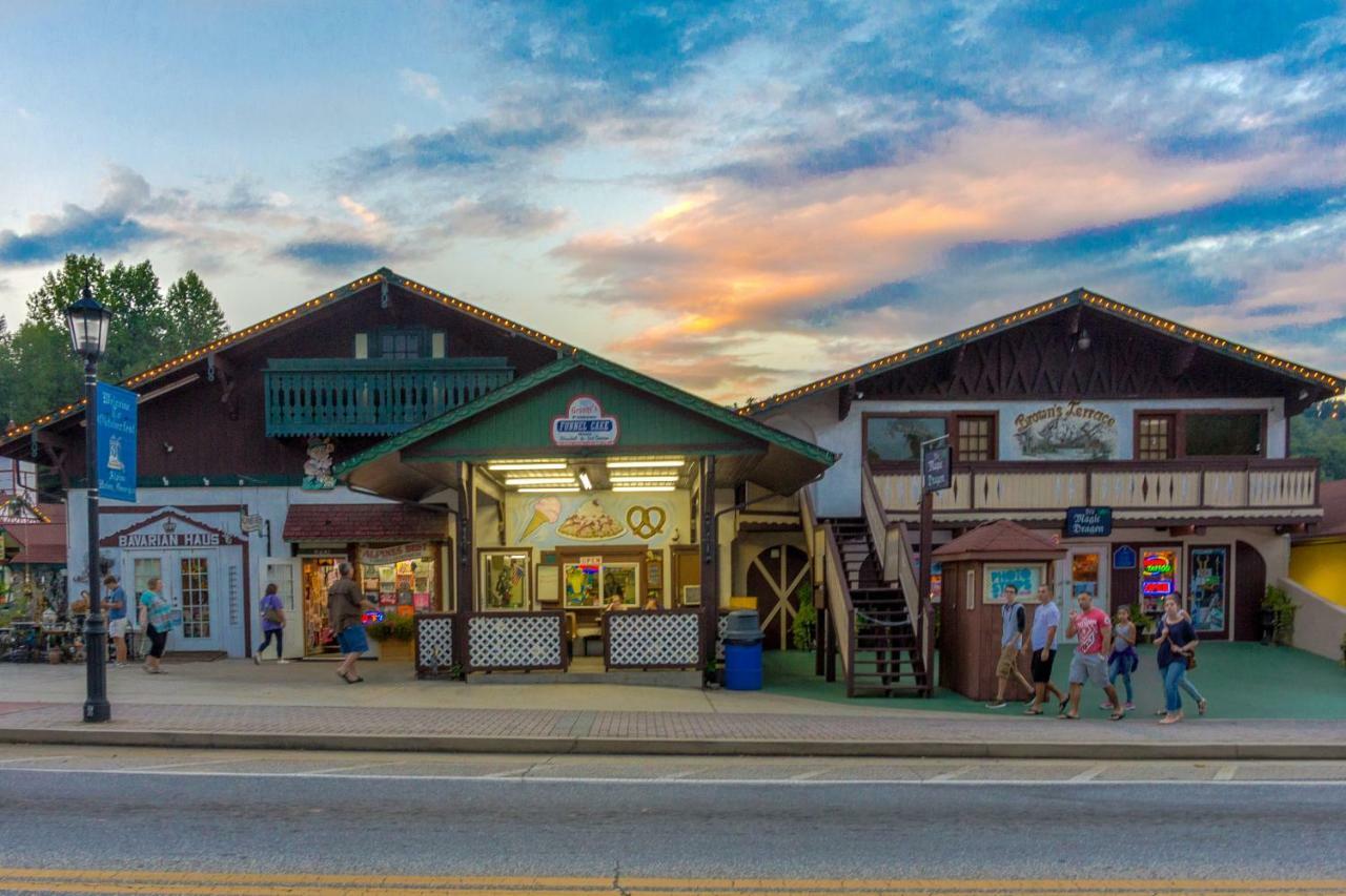 Sautee Nacoochee Skycrestヴィラ エクステリア 写真